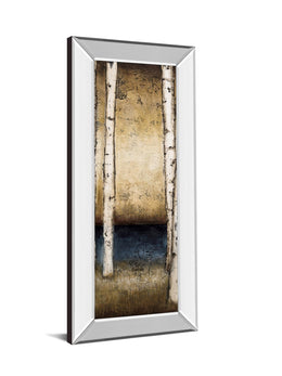 Mirrored Frame Birch Landing Ii By St Germain ***Monl*** 18X42 Mirror Frame Print