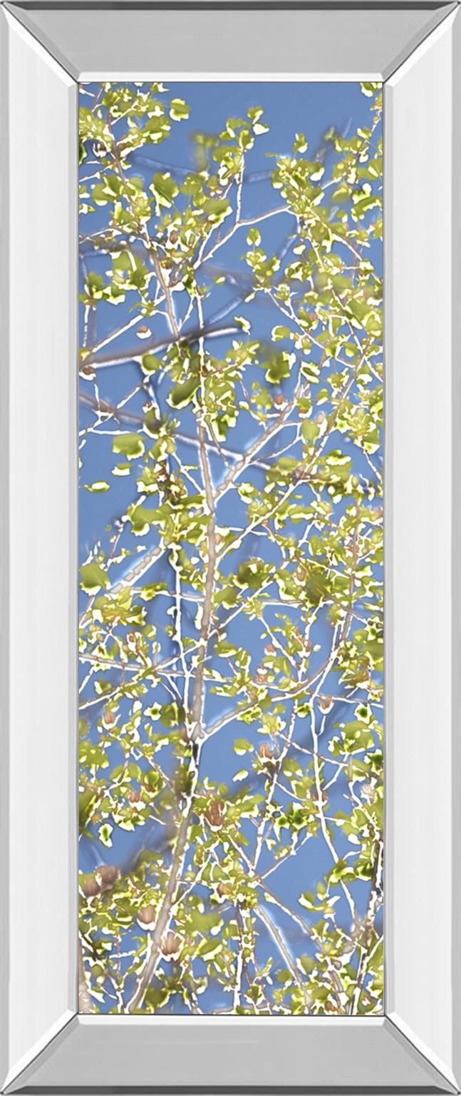 Mirrored Frame Spring Poplars I By Sharon Chandler 18X42 Mirror Frame Print