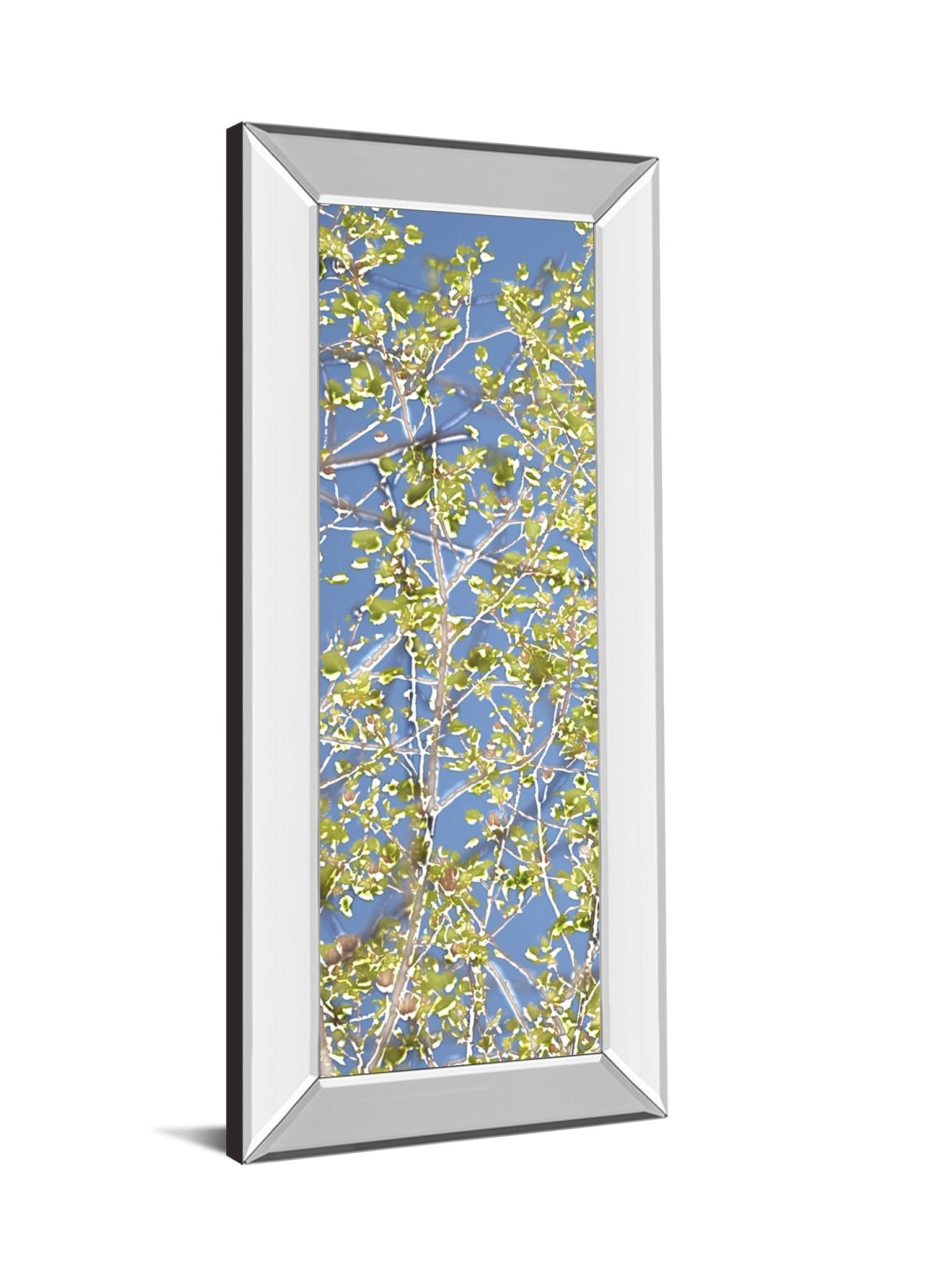 Mirrored Frame Spring Poplars I By Sharon Chandler 18X42 Mirror Frame Print