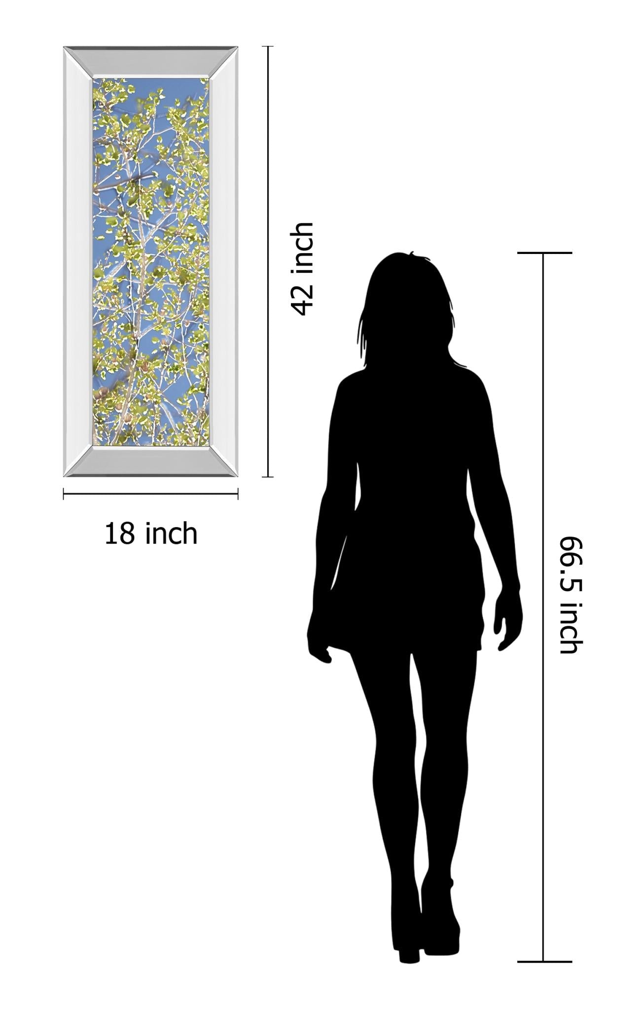 Mirrored Frame Spring Poplars I By Sharon Chandler 18X42 Mirror Frame Print