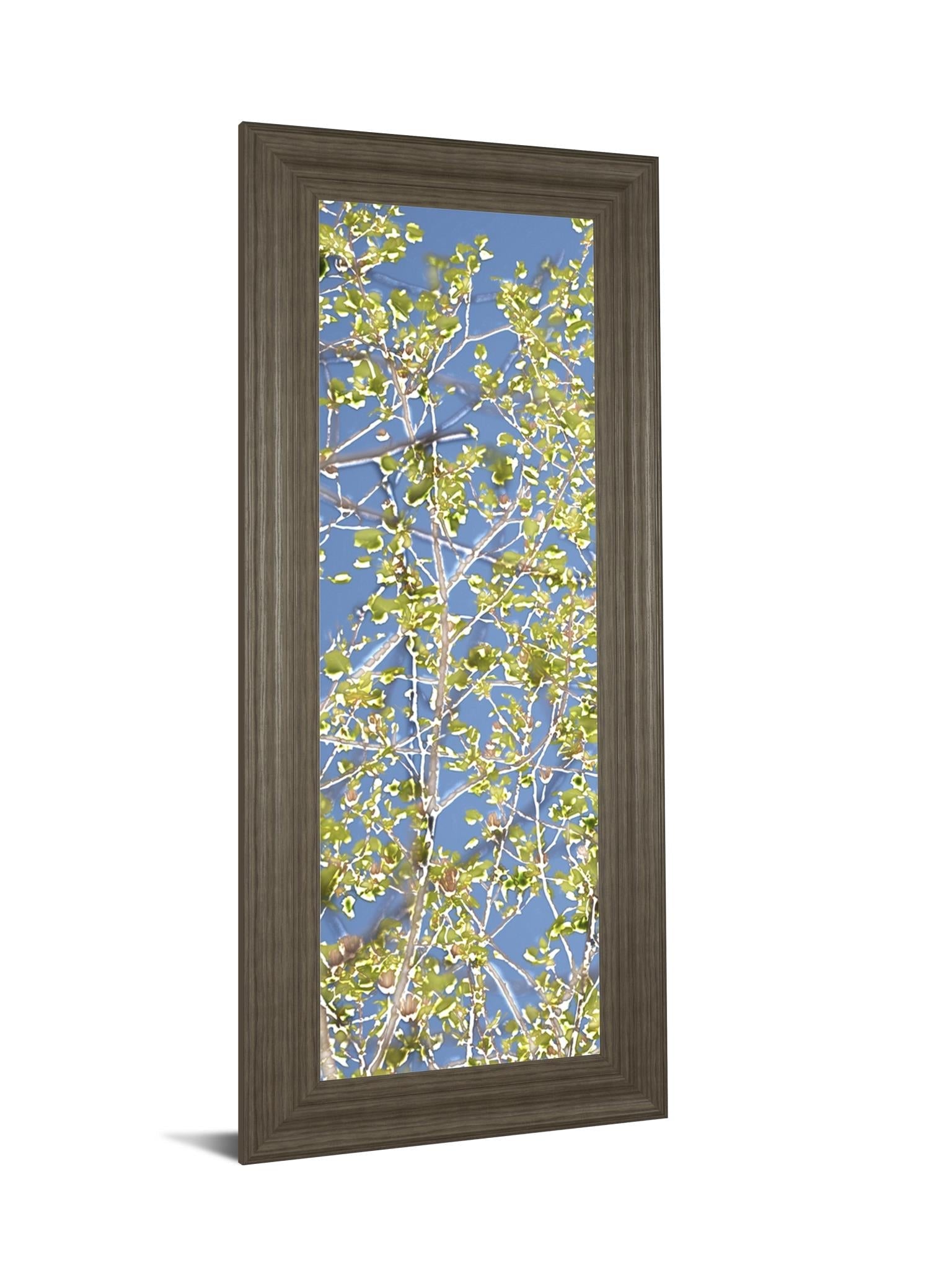 Spring Poplars I By Sharon Chandler 18X42 Framed Print