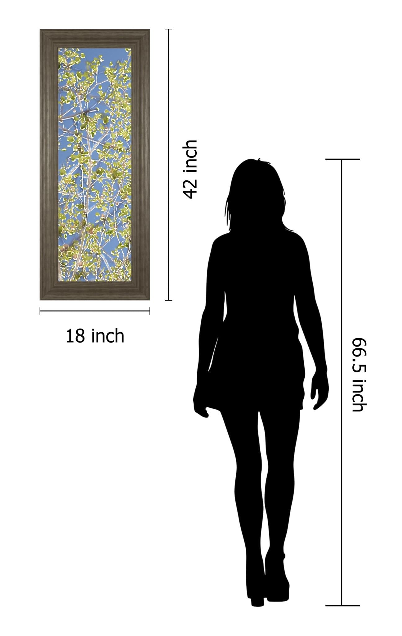 Spring Poplars I By Sharon Chandler 18X42 Framed Print