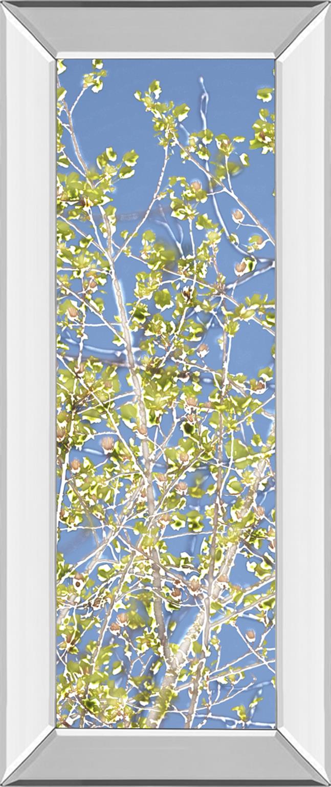 Mirrored Frame Spring Poplars Ii By Sharon Chandler 18X42 Mirror Frame Print