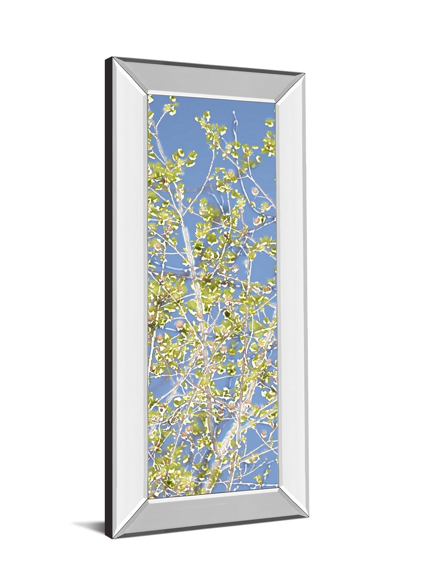 Mirrored Frame Spring Poplars Ii By Sharon Chandler 18X42 Mirror Frame Print