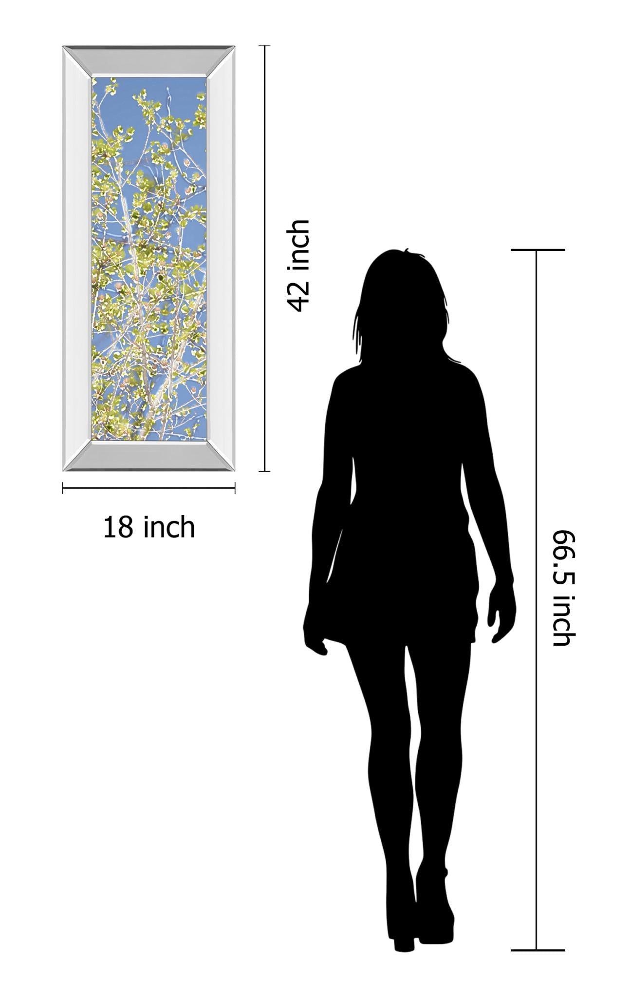 Mirrored Frame Spring Poplars Ii By Sharon Chandler 18X42 Mirror Frame Print