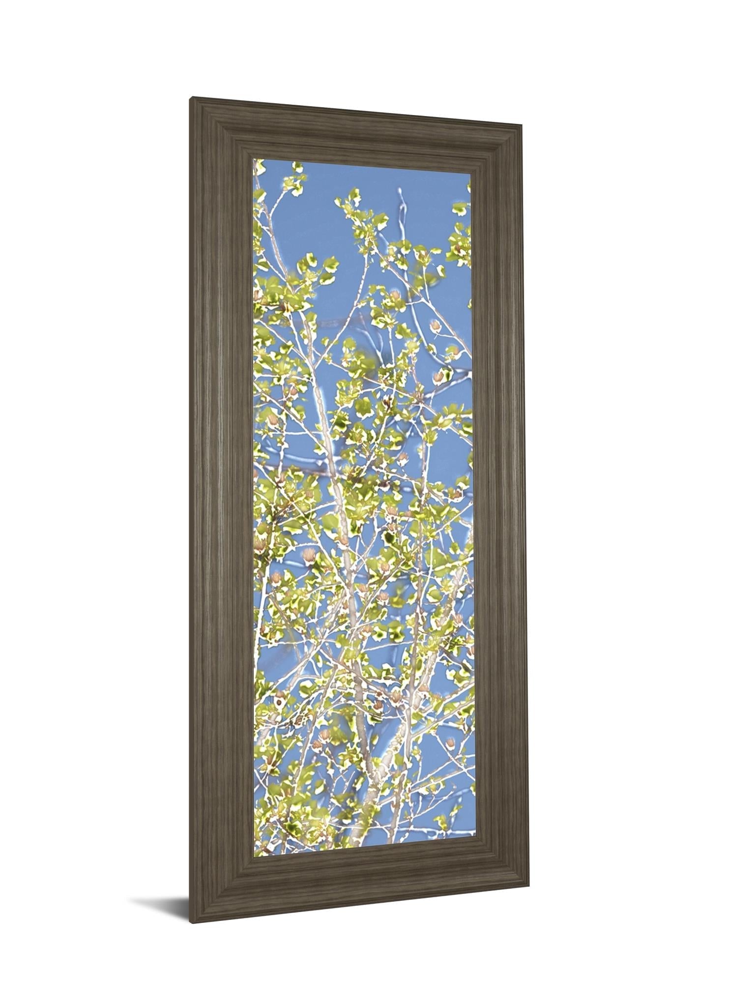 Spring Poplars Ii By Sharon Chandler 18X42 Framed Print