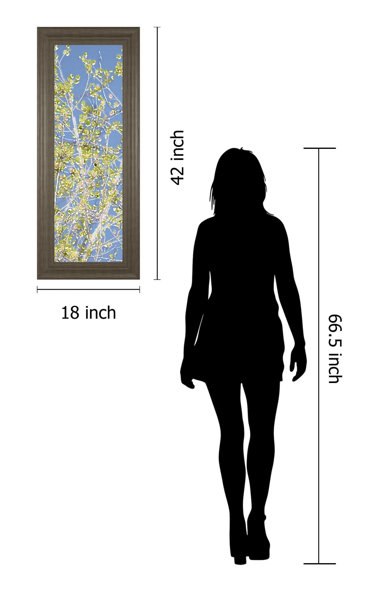 Spring Poplars Ii By Sharon Chandler 18X42 Framed Print