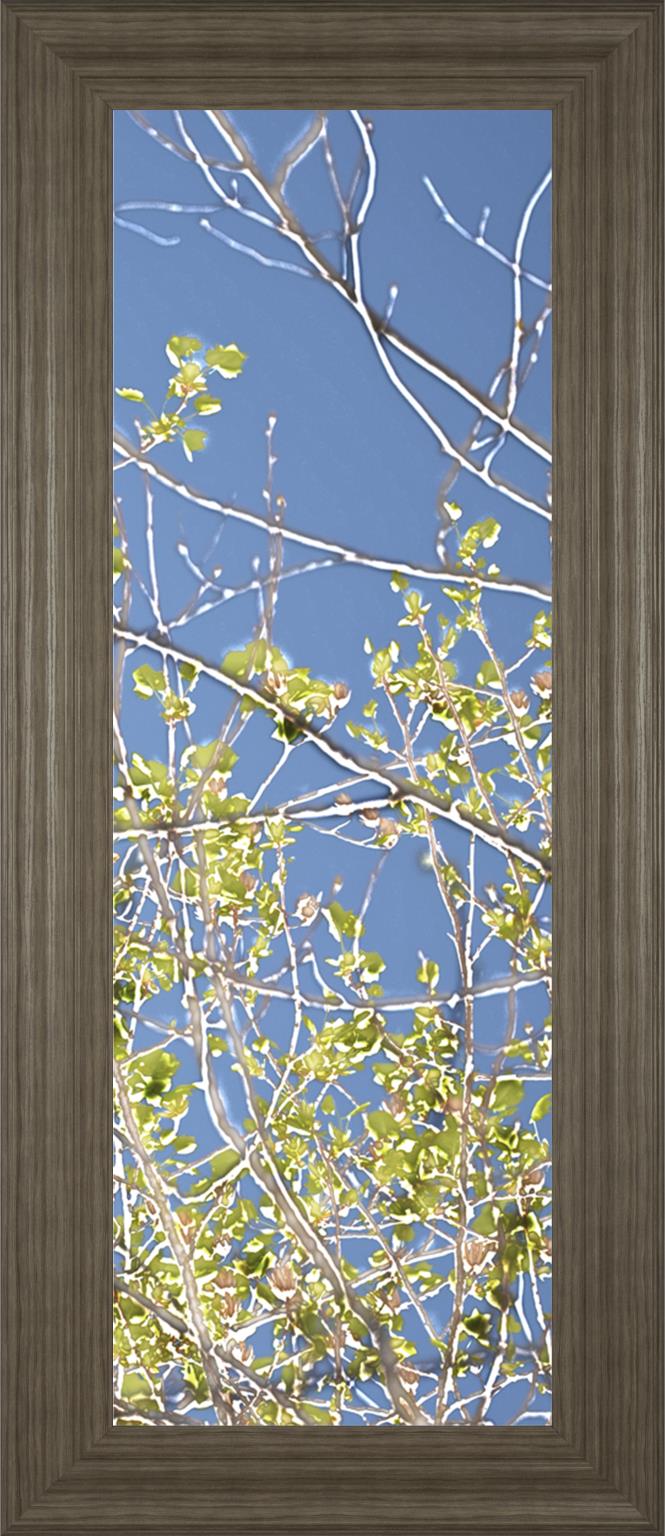 Spring Poplars Iv By Sharon Chandler 18X42 Framed Print