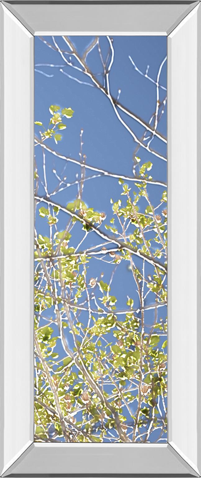 Mirrored Frame Spring Poplars Iv By Sharon Chandler 18X42 Mirror Frame Print