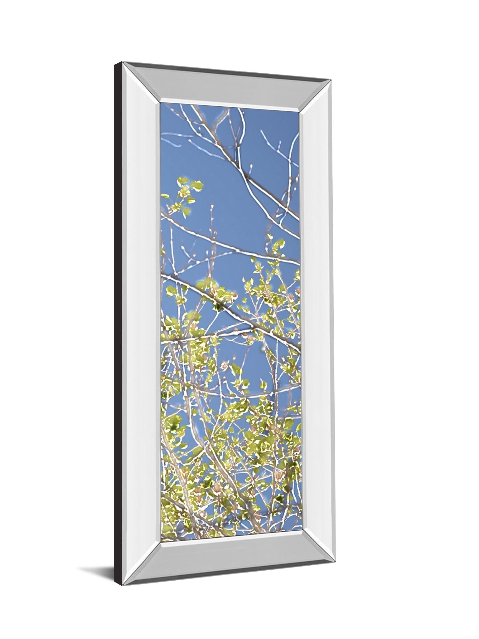 Mirrored Frame Spring Poplars Iv By Sharon Chandler 18X42 Mirror Frame Print