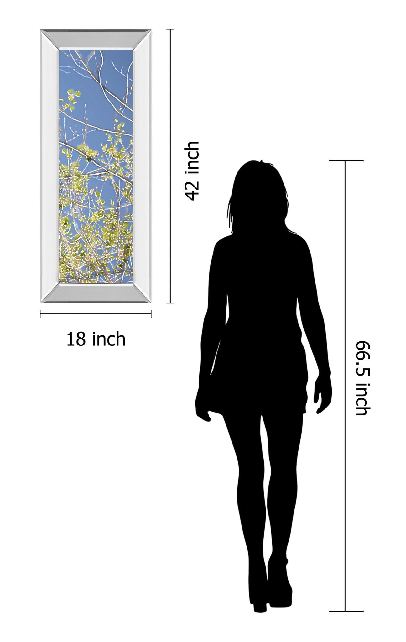 Mirrored Frame Spring Poplars Iv By Sharon Chandler 18X42 Mirror Frame Print