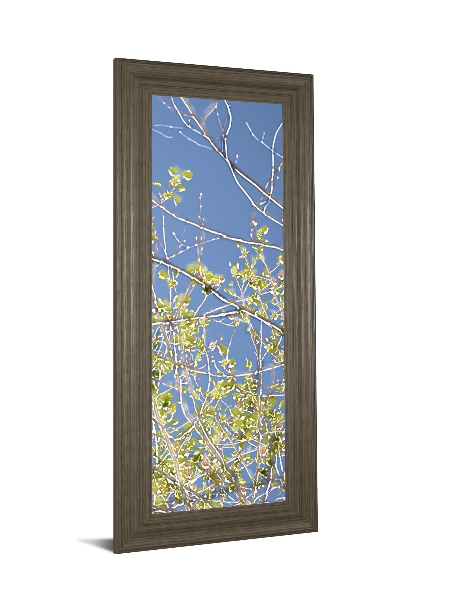 Spring Poplars Iv By Sharon Chandler 18X42 Framed Print