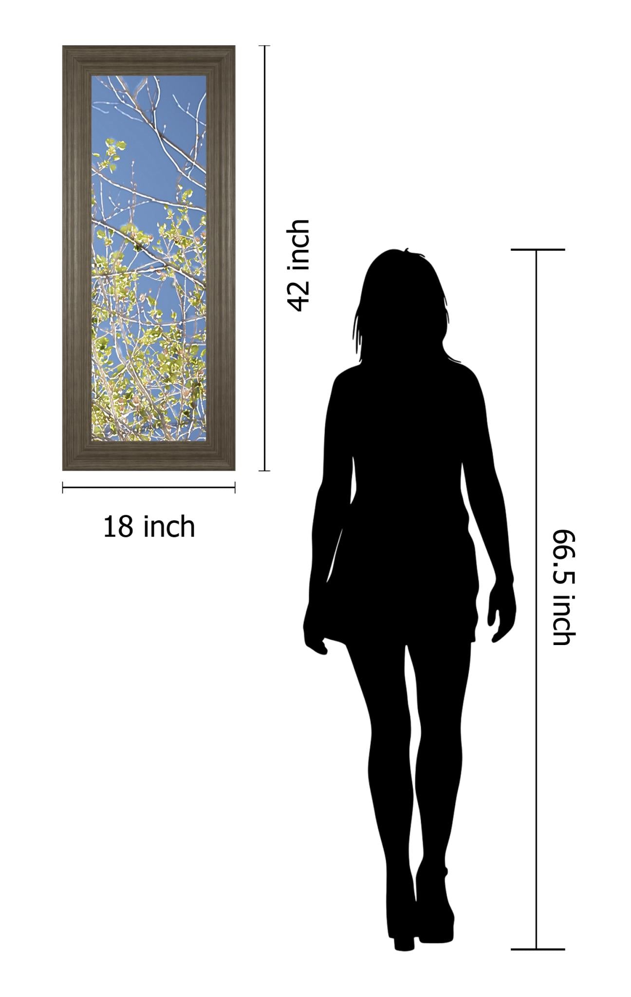 Spring Poplars Iv By Sharon Chandler 18X42 Framed Print