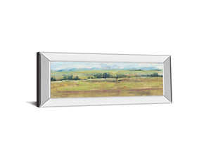 Mirrored Frame Distant Treeline Panel Ii By Tim Otoole 18X42 Mirror Frame Print