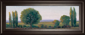 Panoramic Treeline I By Tim Otoole 18X42 Framed Print