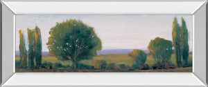 Mirrored Frame Panoramic Treeline I By Tim Otoole 18X42 Mirror Frame Print
