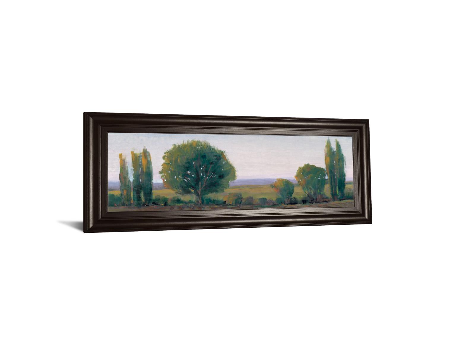 Panoramic Treeline I By Tim Otoole 18X42 Framed Print