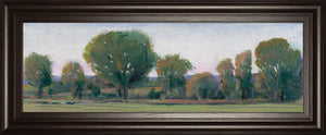 Panoramic Treeline Ii By Tim Otoole 18X42 Framed Print