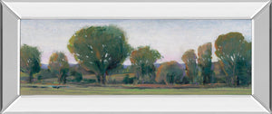 Mirrored Frame Panoramic Treeline Ii By Tim Otoole 18X42 Mirror Frame Print