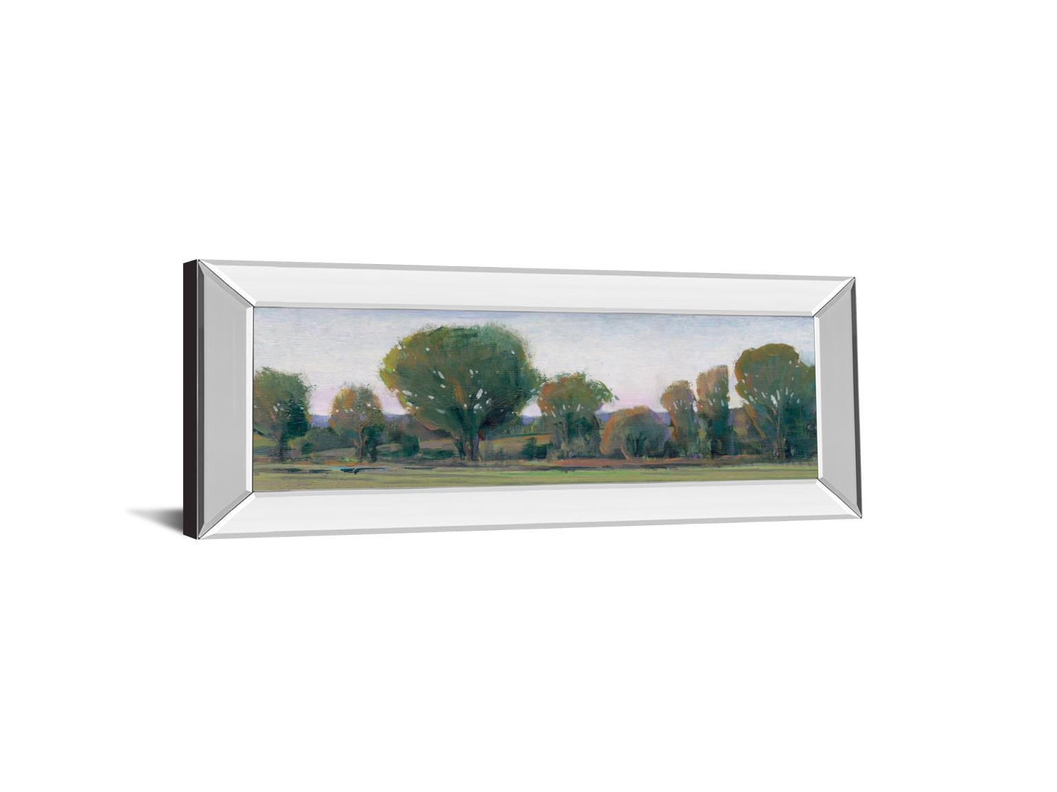 Mirrored Frame Panoramic Treeline Ii By Tim Otoole 18X42 Mirror Frame Print