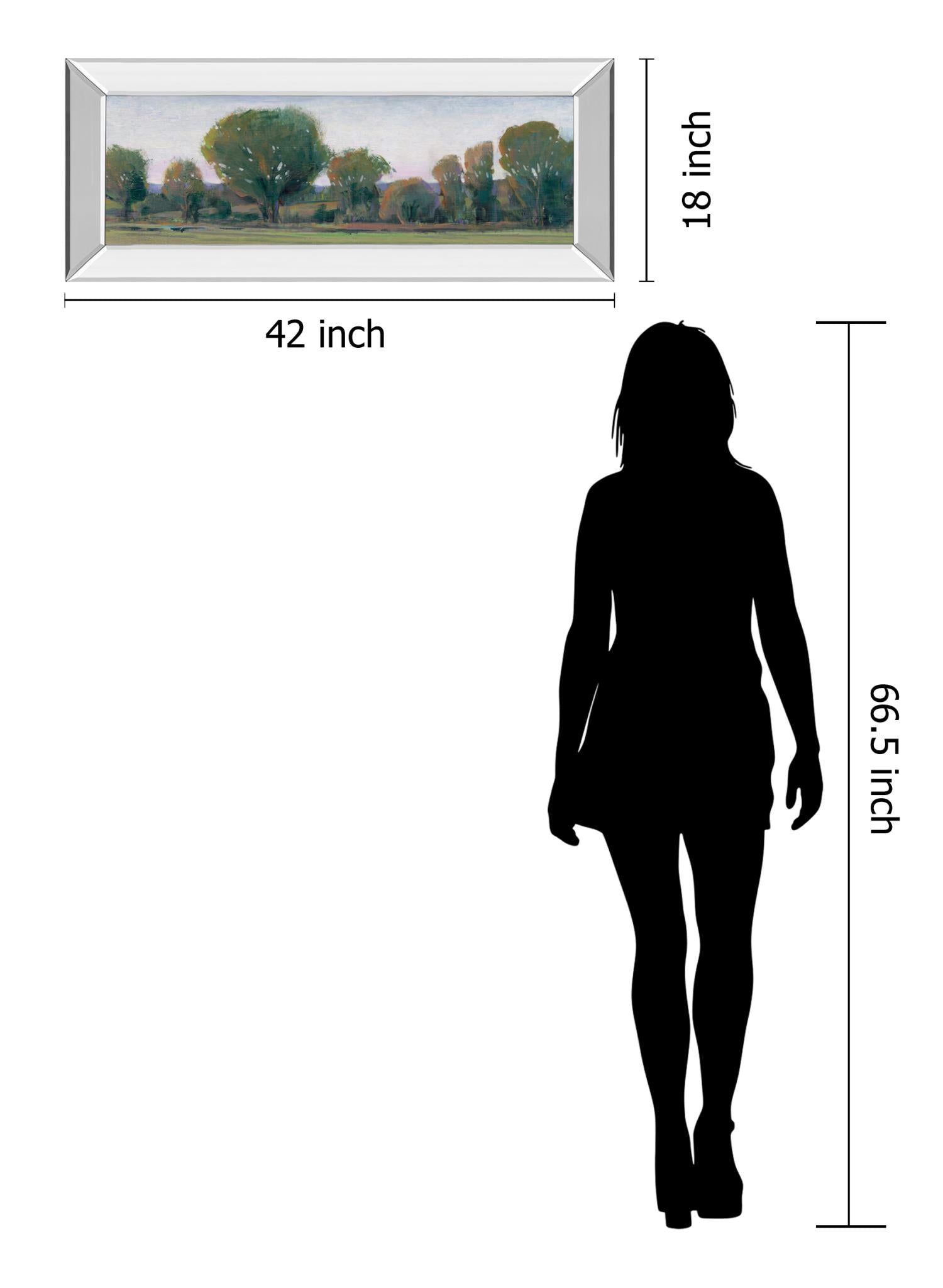 Mirrored Frame Panoramic Treeline Ii By Tim Otoole 18X42 Mirror Frame Print