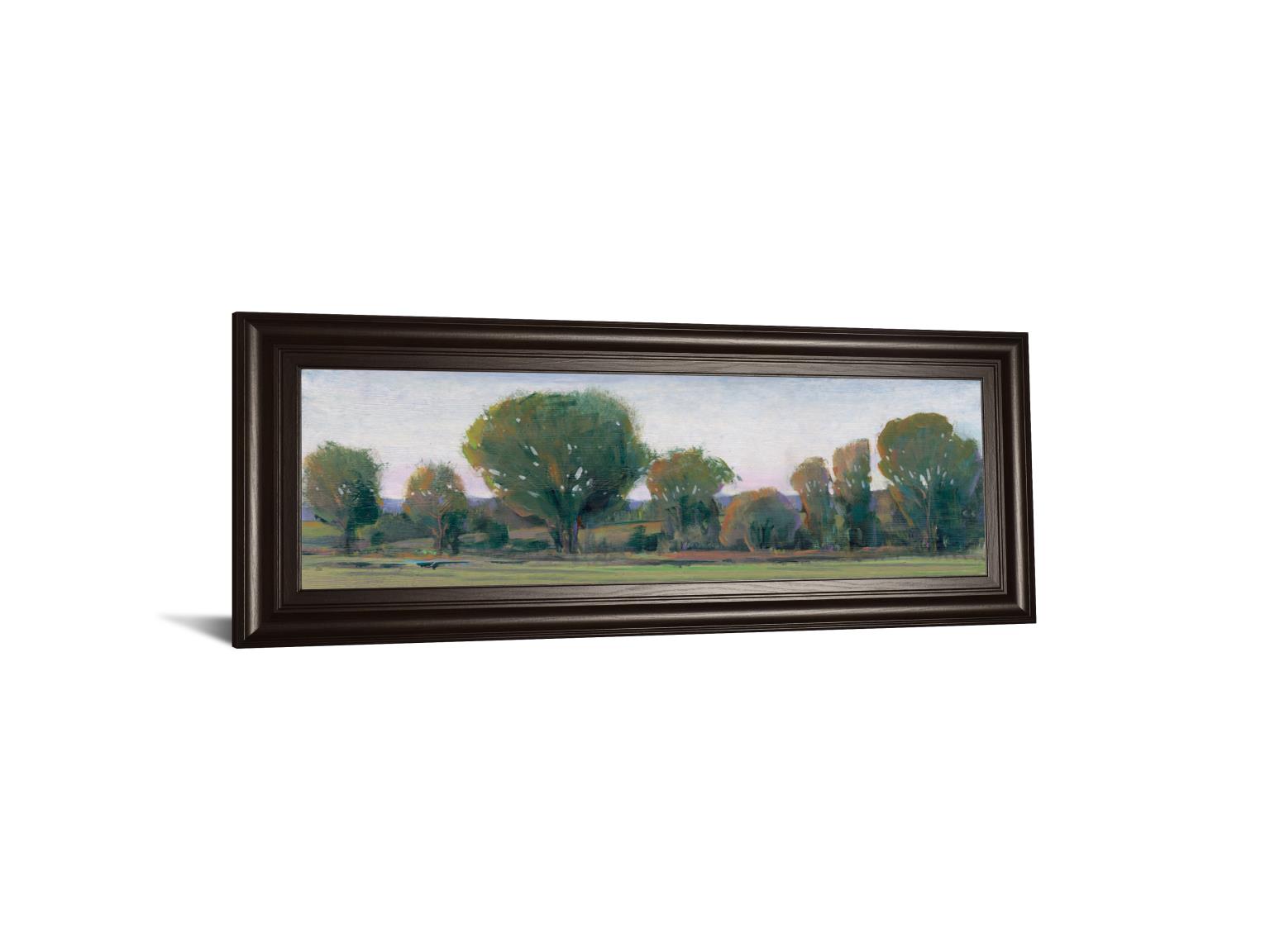 Panoramic Treeline Ii By Tim Otoole 18X42 Framed Print