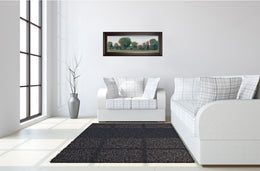 Panoramic Treeline Ii By Tim Otoole 18X42 Framed Print