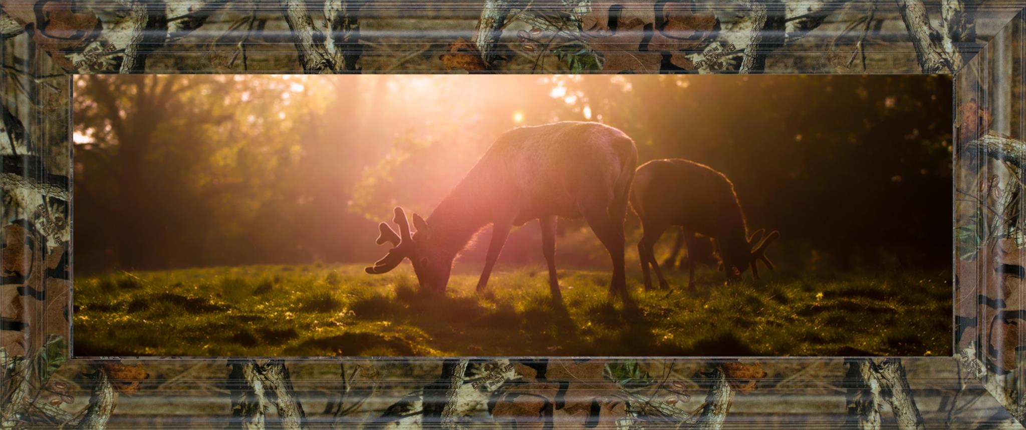 Morning Haze By Joe Reynolds ***Monl*** 18X42 Framed Print
