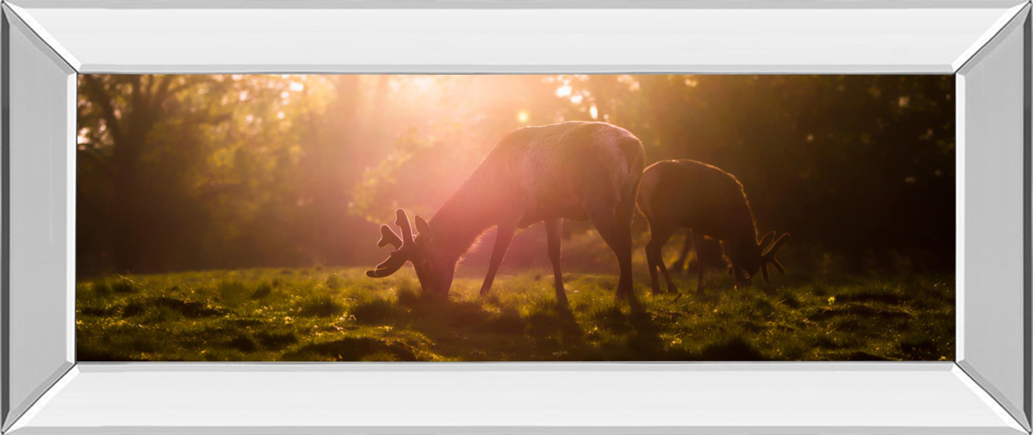 Mirrored Frame Morning Haze By Joe Reynolds 18X42 Mirror Frame Print