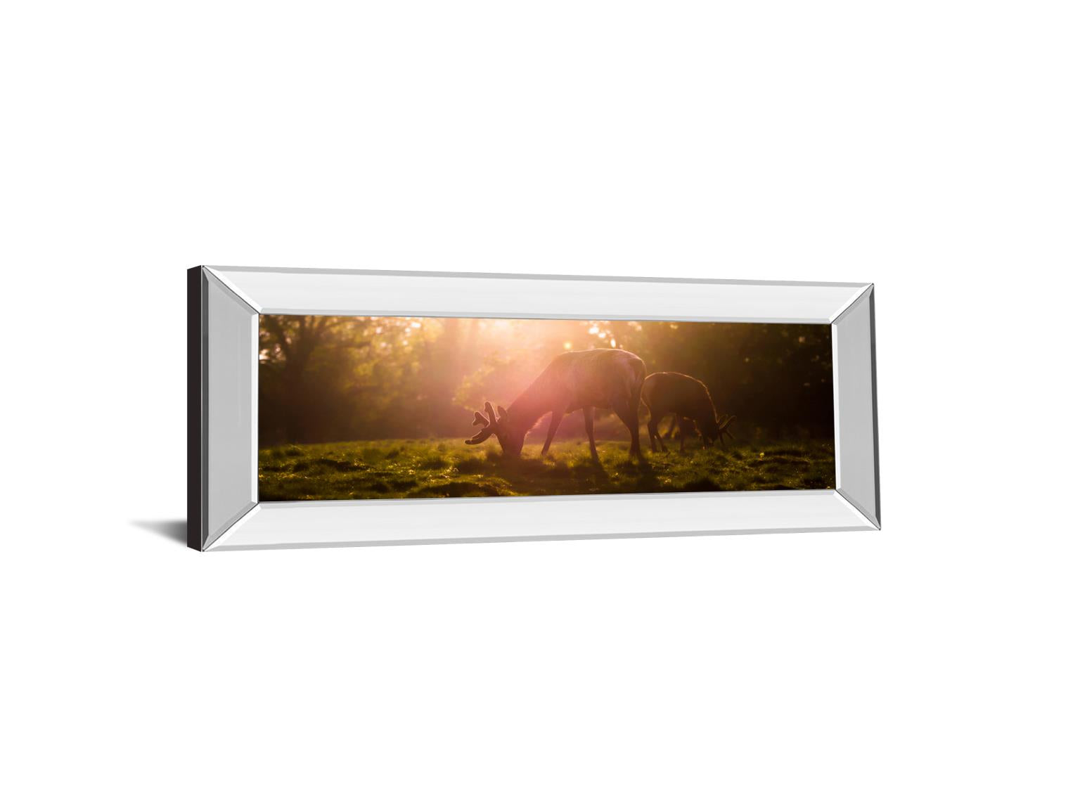 Mirrored Frame Morning Haze By Joe Reynolds 18X42 Mirror Frame Print