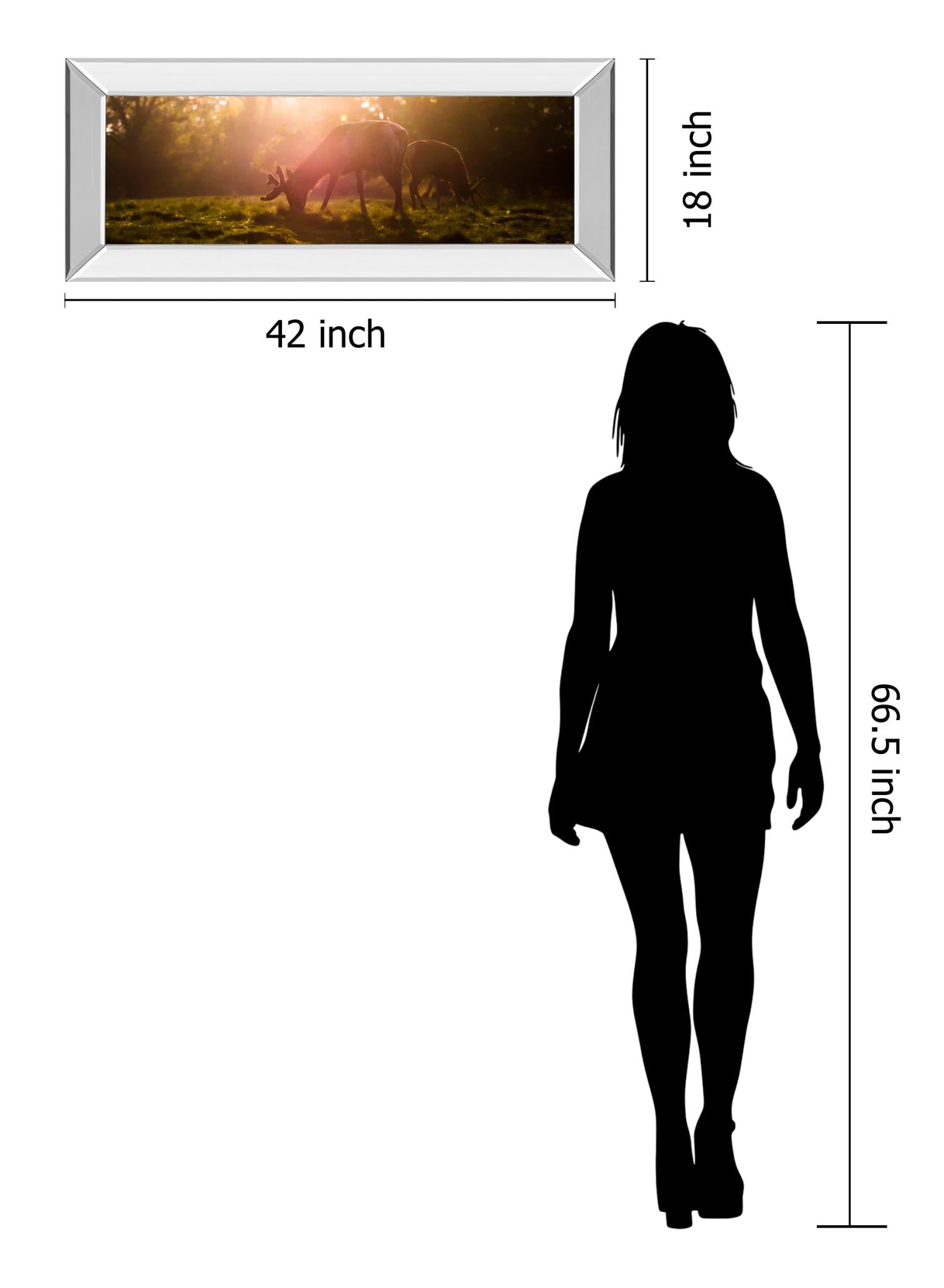 Mirrored Frame Morning Haze By Joe Reynolds 18X42 Mirror Frame Print