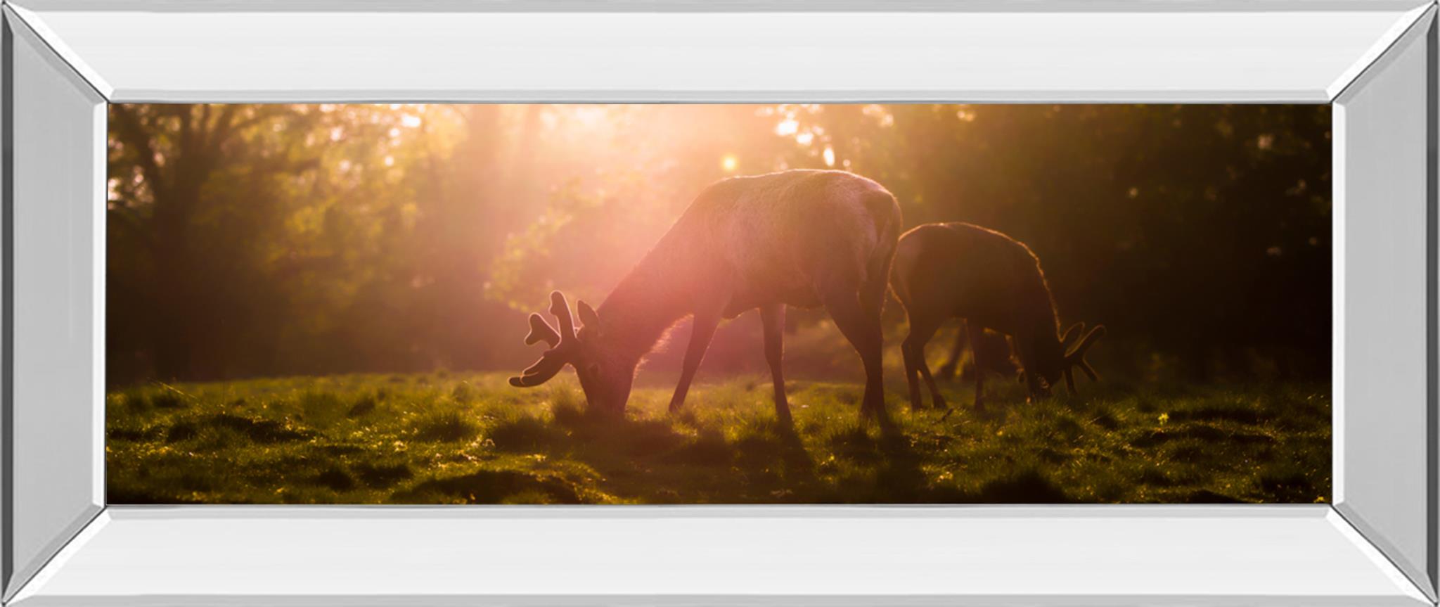 Mirrored Frame Morning Haze By Joe Reynolds 18X42 Mirror Frame Print