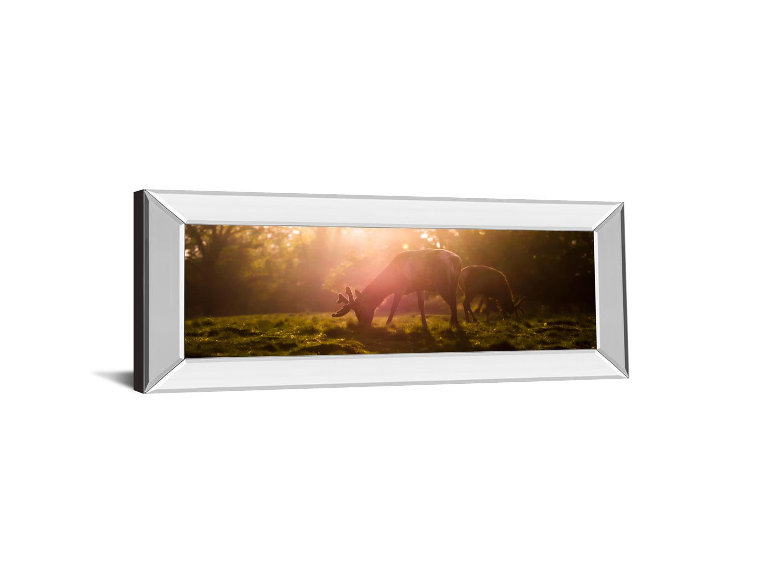 Mirrored Frame Morning Haze By Joe Reynolds 18X42 Mirror Frame Print