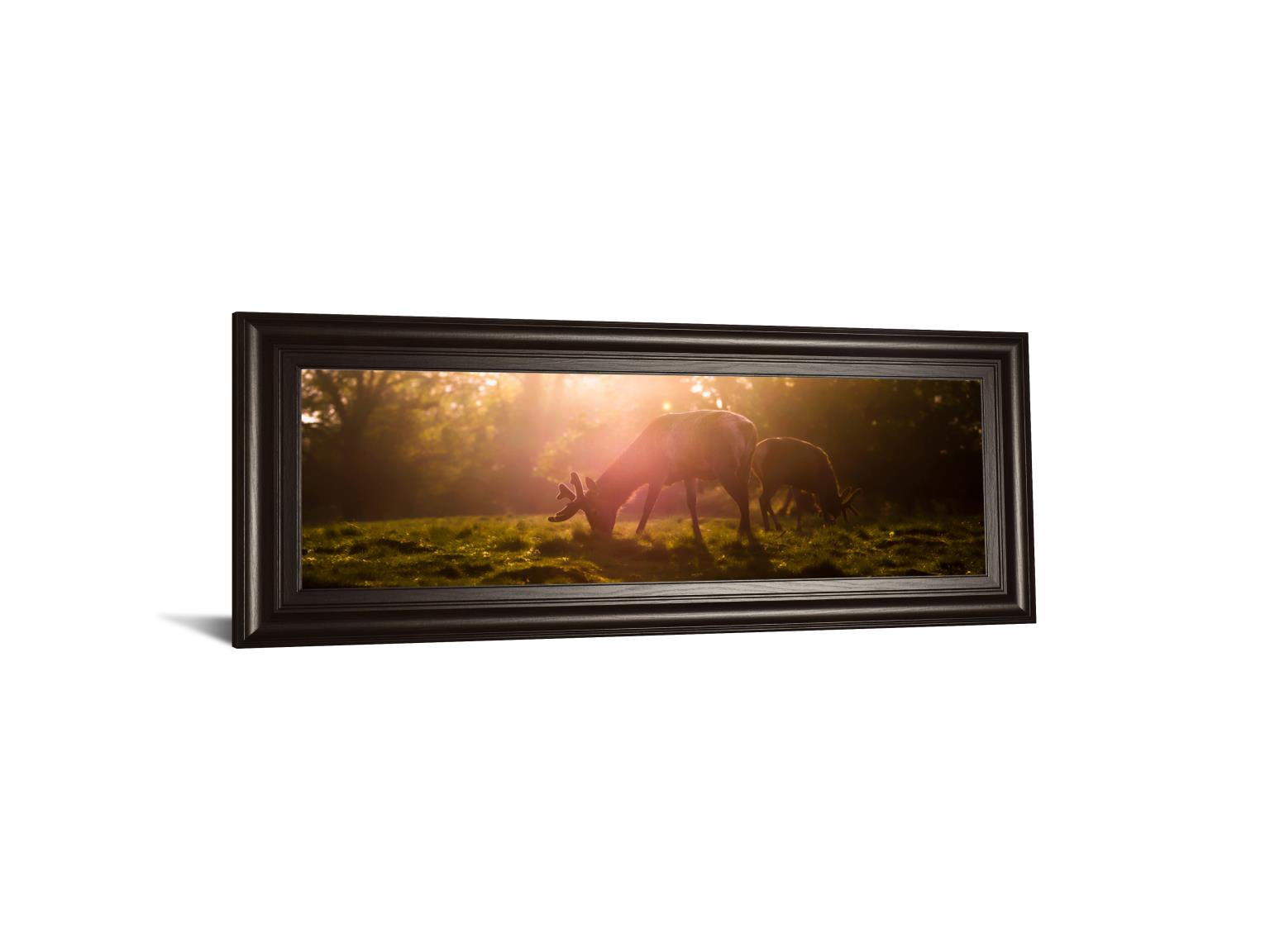 Morning Haze By Joe Reynolds 18X42 Framed Print