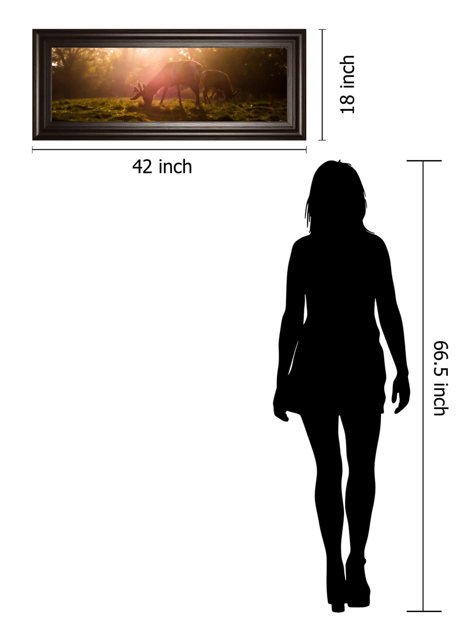 Morning Haze By Joe Reynolds 18X42 Framed Print