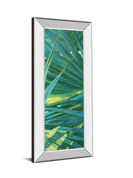 Mirrored Frame Fan Palm Ii By Suzanne Wilkins 18X42 Mirror Frame Print