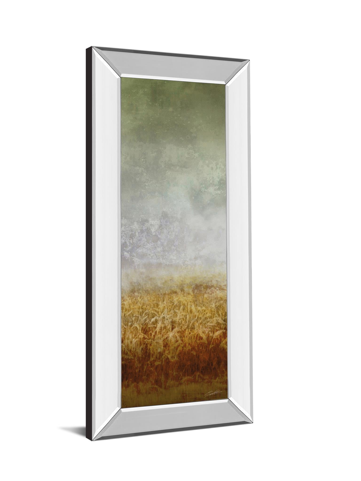 Mirrored Frame Lush Field I By John Butler 18X42 Mirror Frame Print