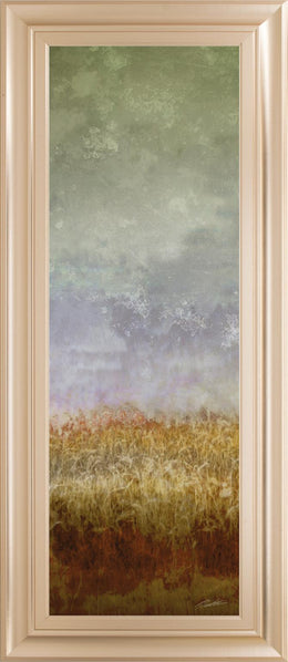 Lush Field Ii By John Butler 18X42 Framed Print