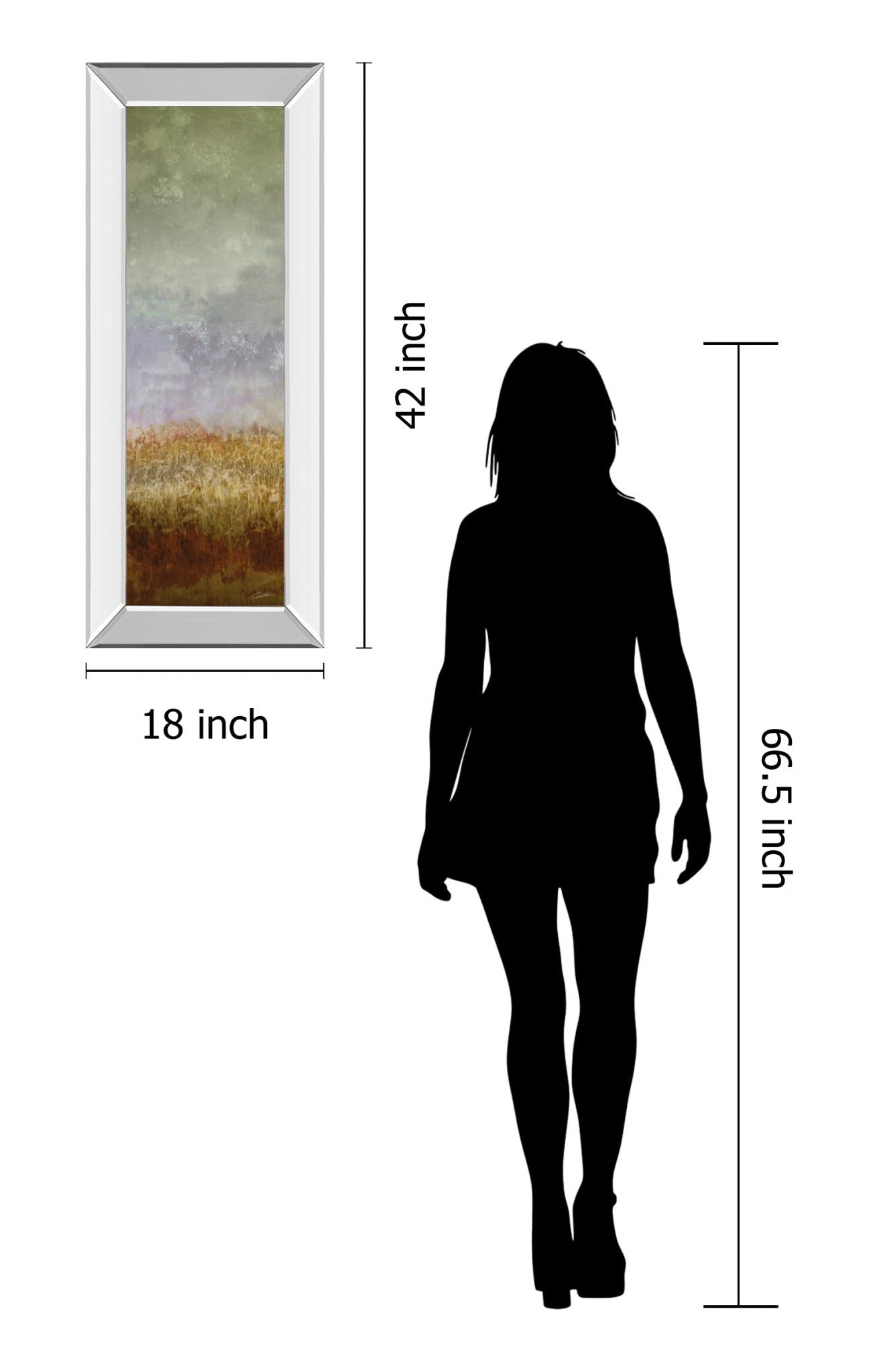 Mirrored Frame Lush Field Ii By John Butler 18X42 Mirror Frame Print