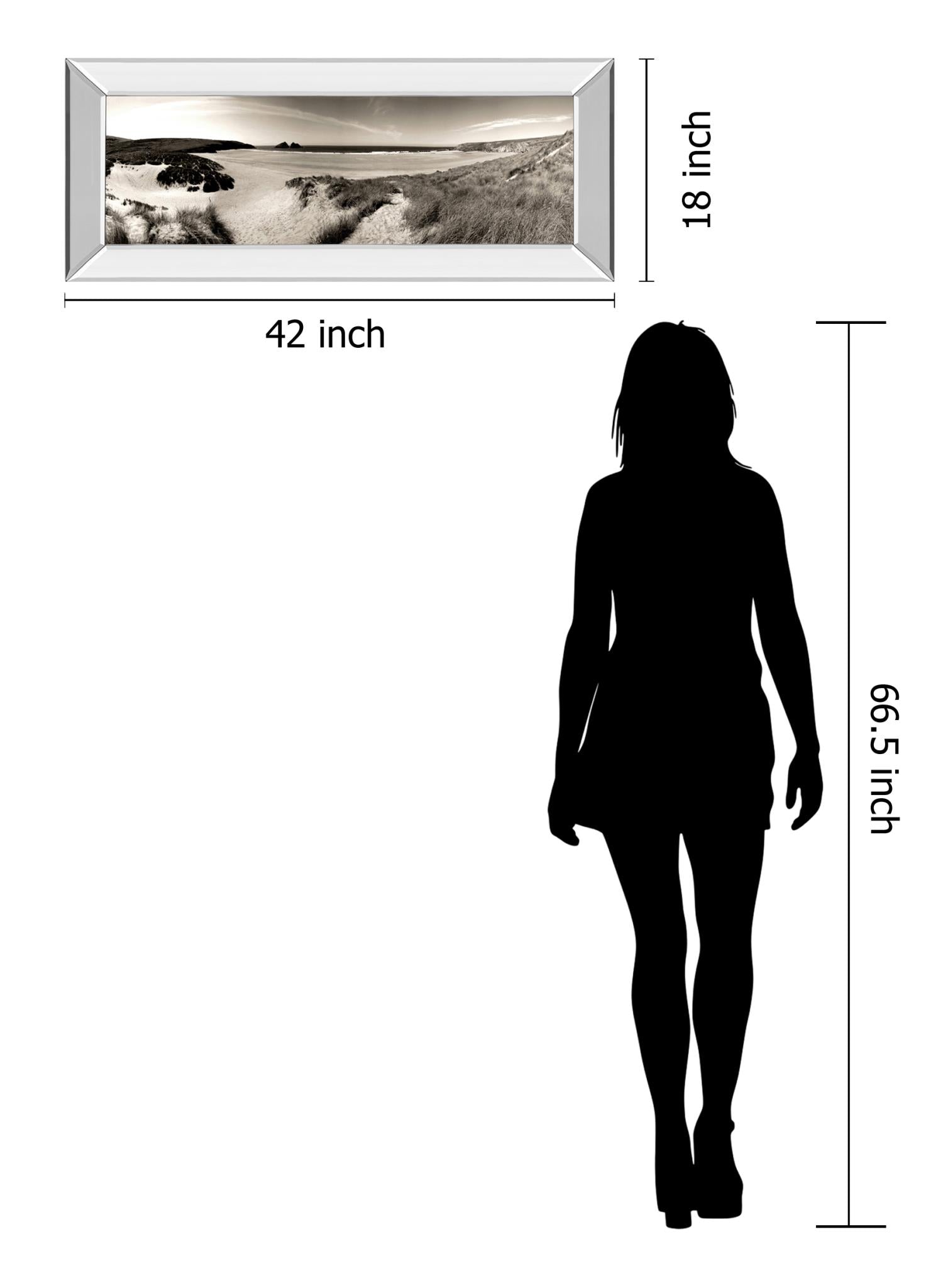 Mirrored Frame The Wind In The Dunes Ii By Noah Bay 18X42 Mirror Frame Print