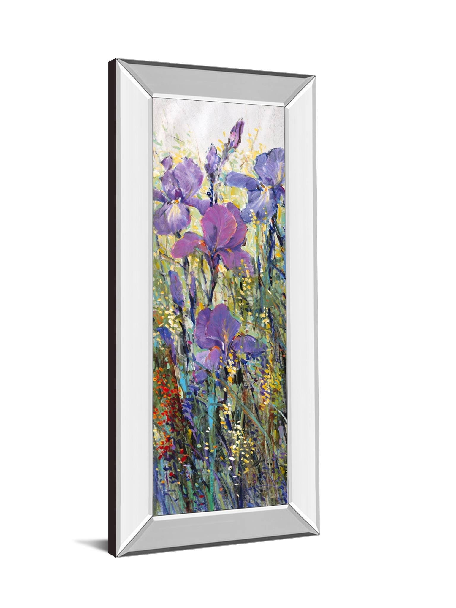 Mirrored Frame Iris Field I By Tim Otoole 18X42 Mirror Frame Print