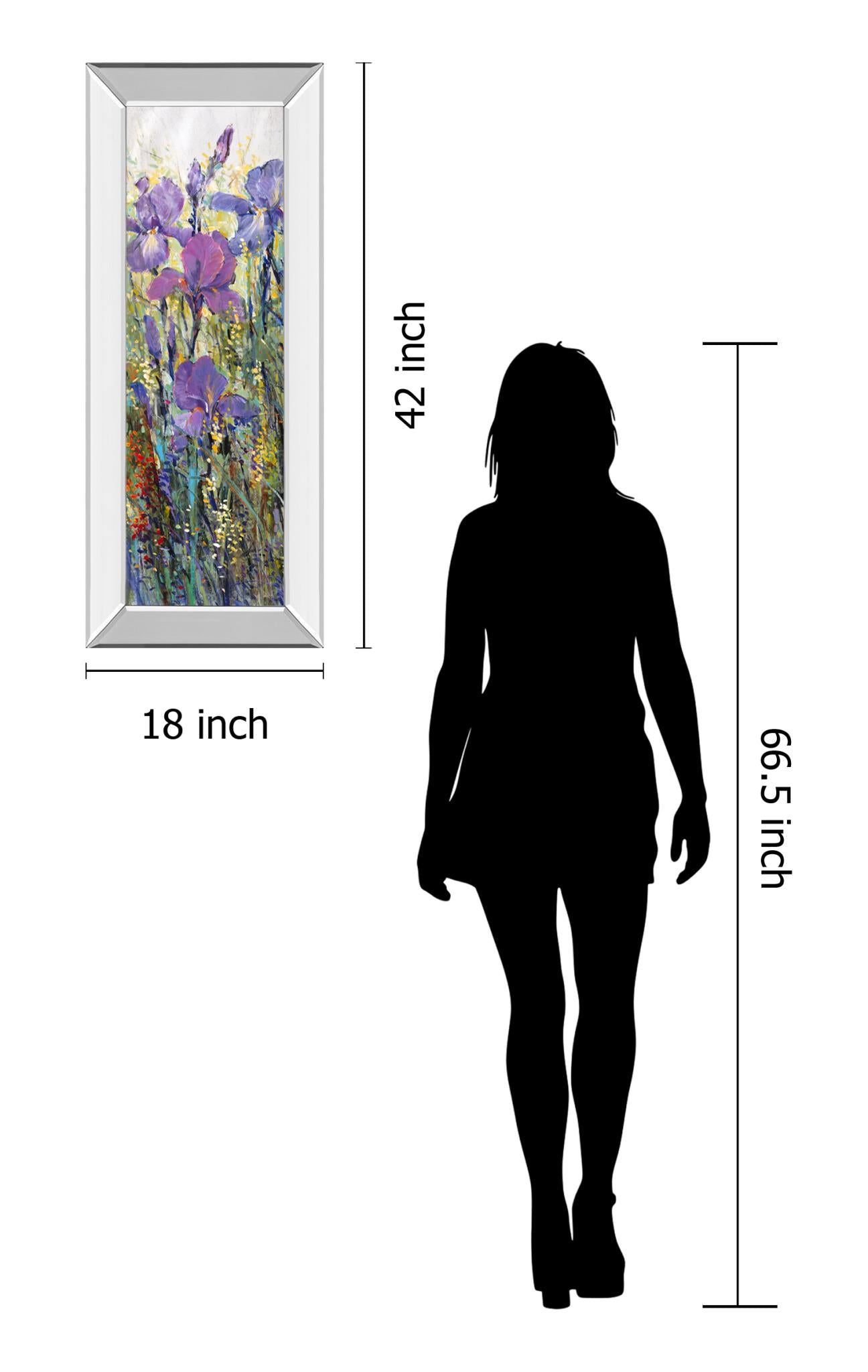 Mirrored Frame Iris Field I By Tim Otoole 18X42 Mirror Frame Print