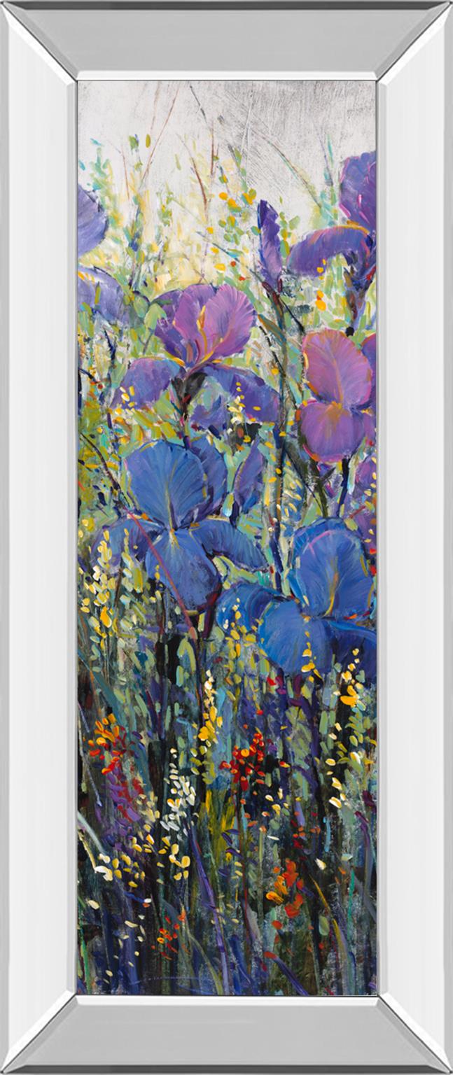 Mirrored Frame Iris Field Ii By Tim Otoole 18X42 Mirror Frame Print