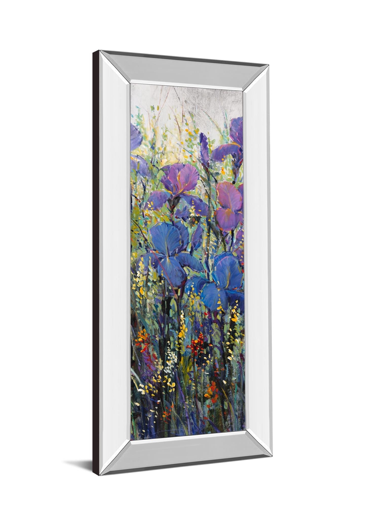 Mirrored Frame Iris Field Ii By Tim Otoole 18X42 Mirror Frame Print