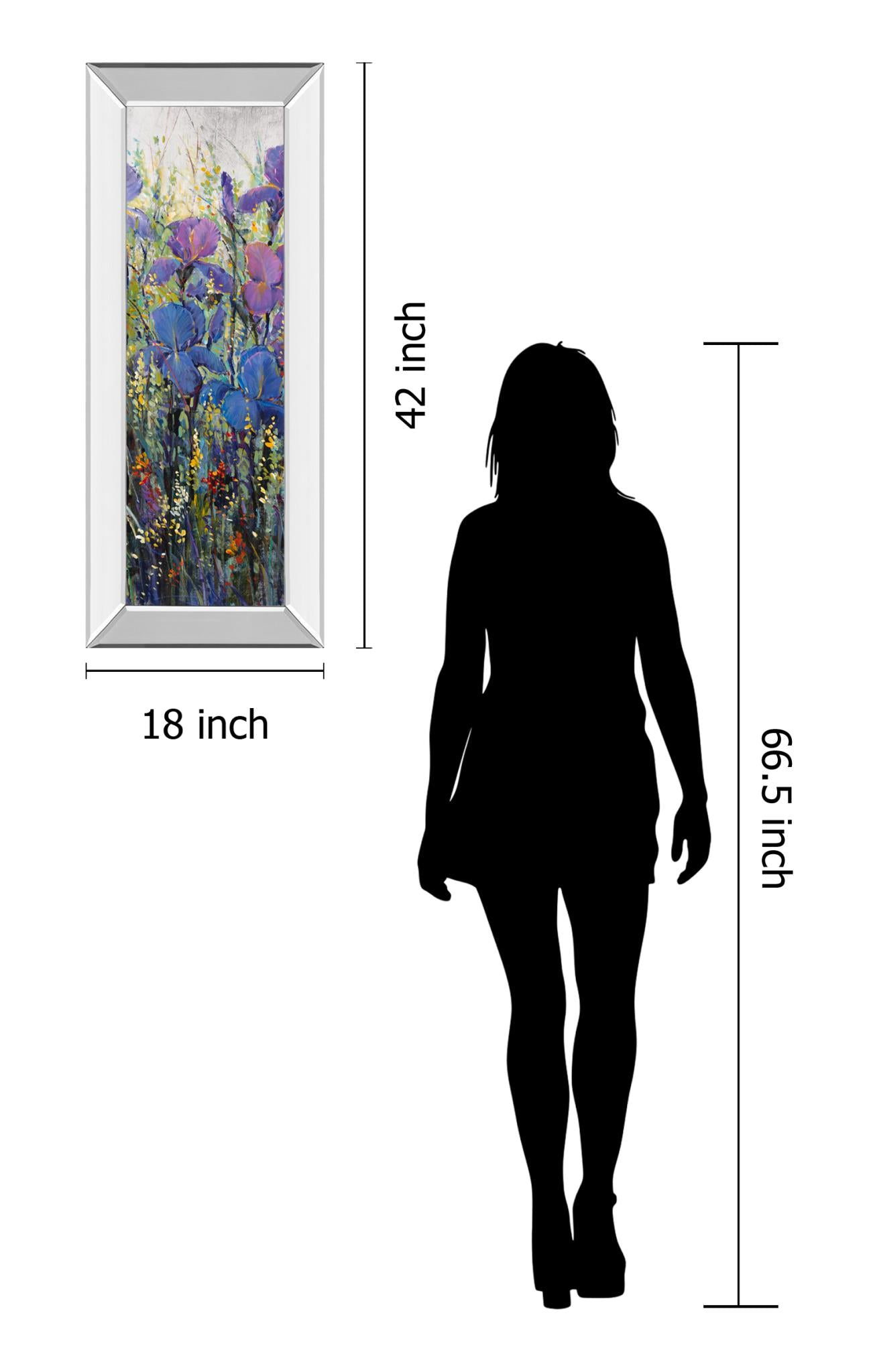 Mirrored Frame Iris Field Ii By Tim Otoole 18X42 Mirror Frame Print