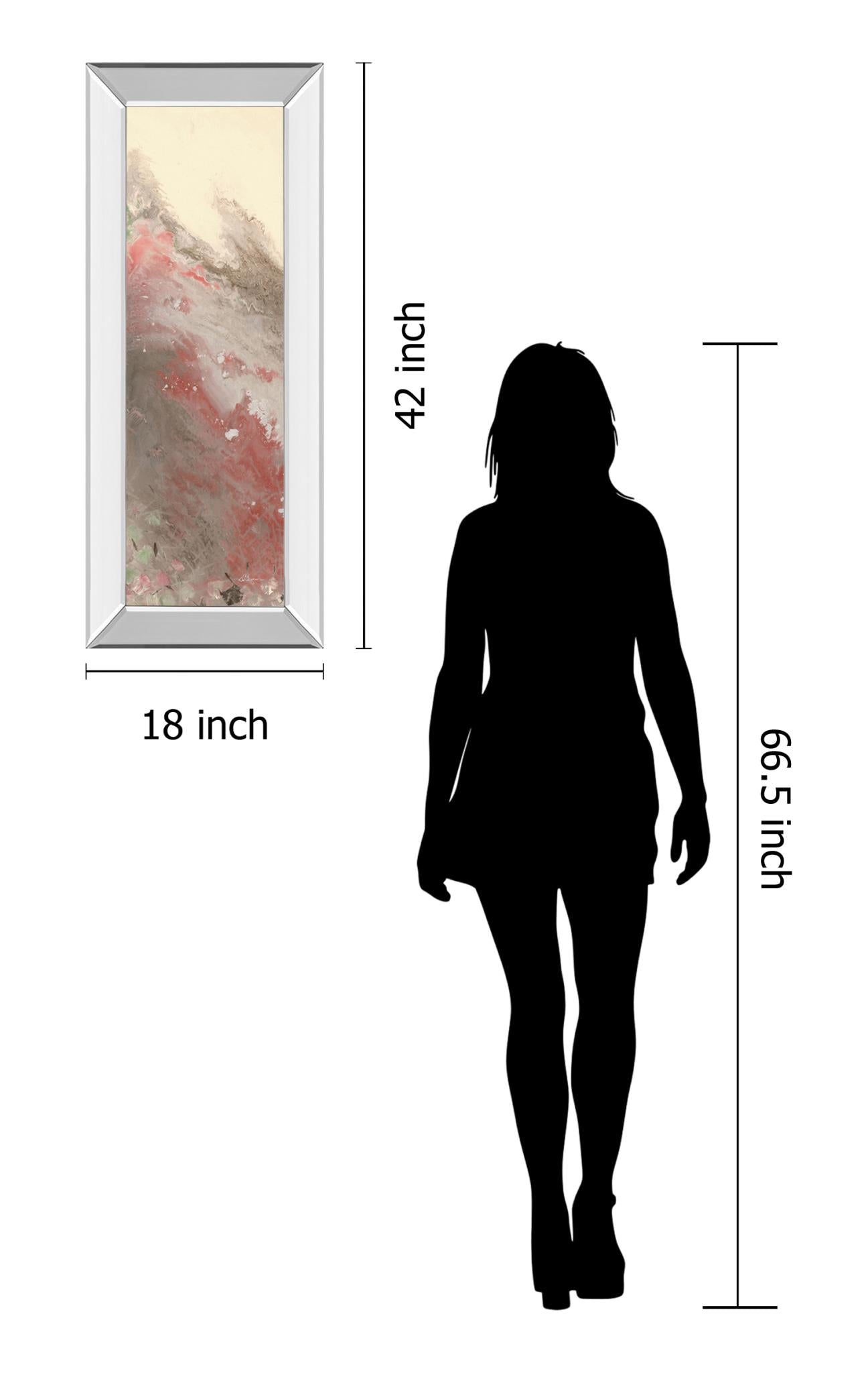 Mirrored Frame Sang Froid I By Dlynn Roll 18X42 Mirror Frame Print