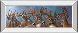 Mirrored Frame Five Bucks By Carolyn Mock 18X42 Mirror Frame Print