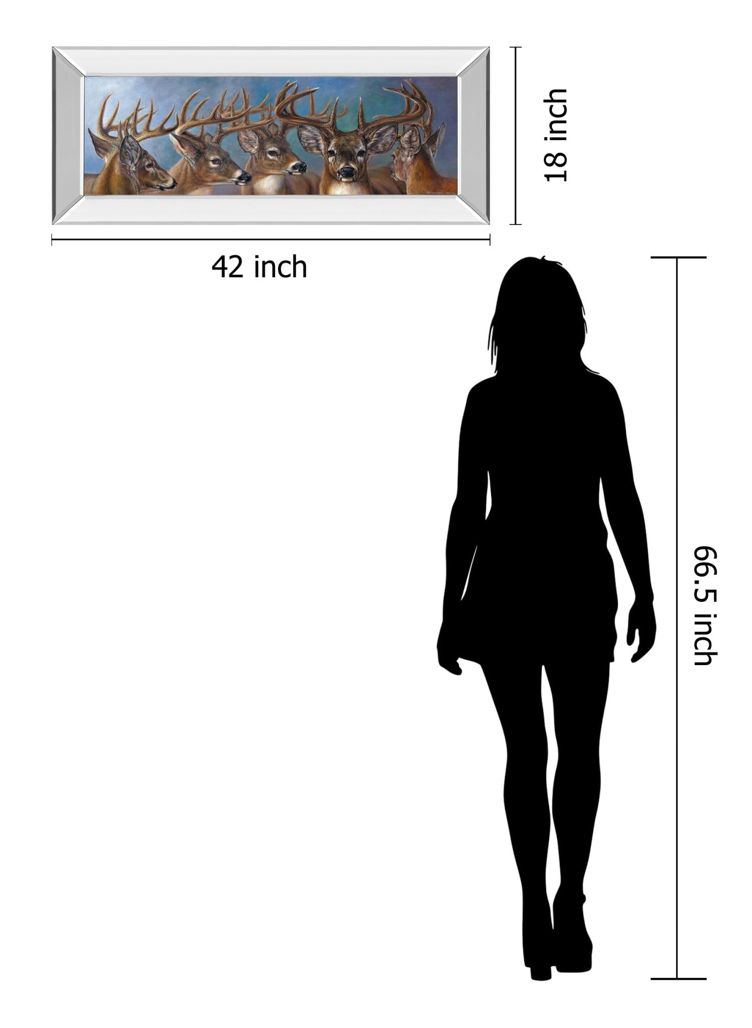 Mirrored Frame Five Bucks By Carolyn Mock 18X42 Mirror Frame Print