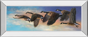 Mirrored Frame Ascent By Carolyn Mock 18X42 Mirror Frame Print