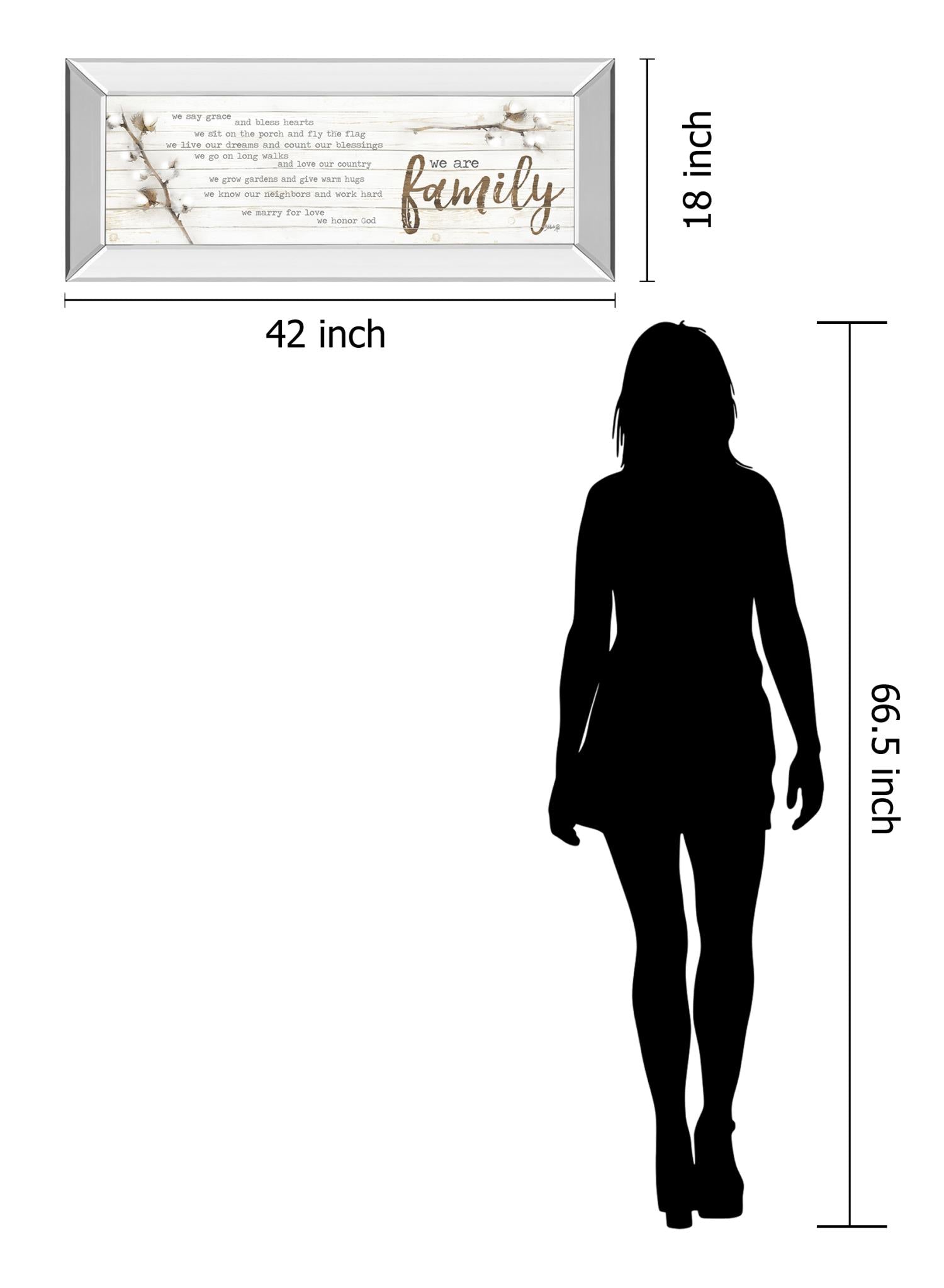 Mirrored Frame We Are Family By Marla Rae 18X42 Mirror Frame Print